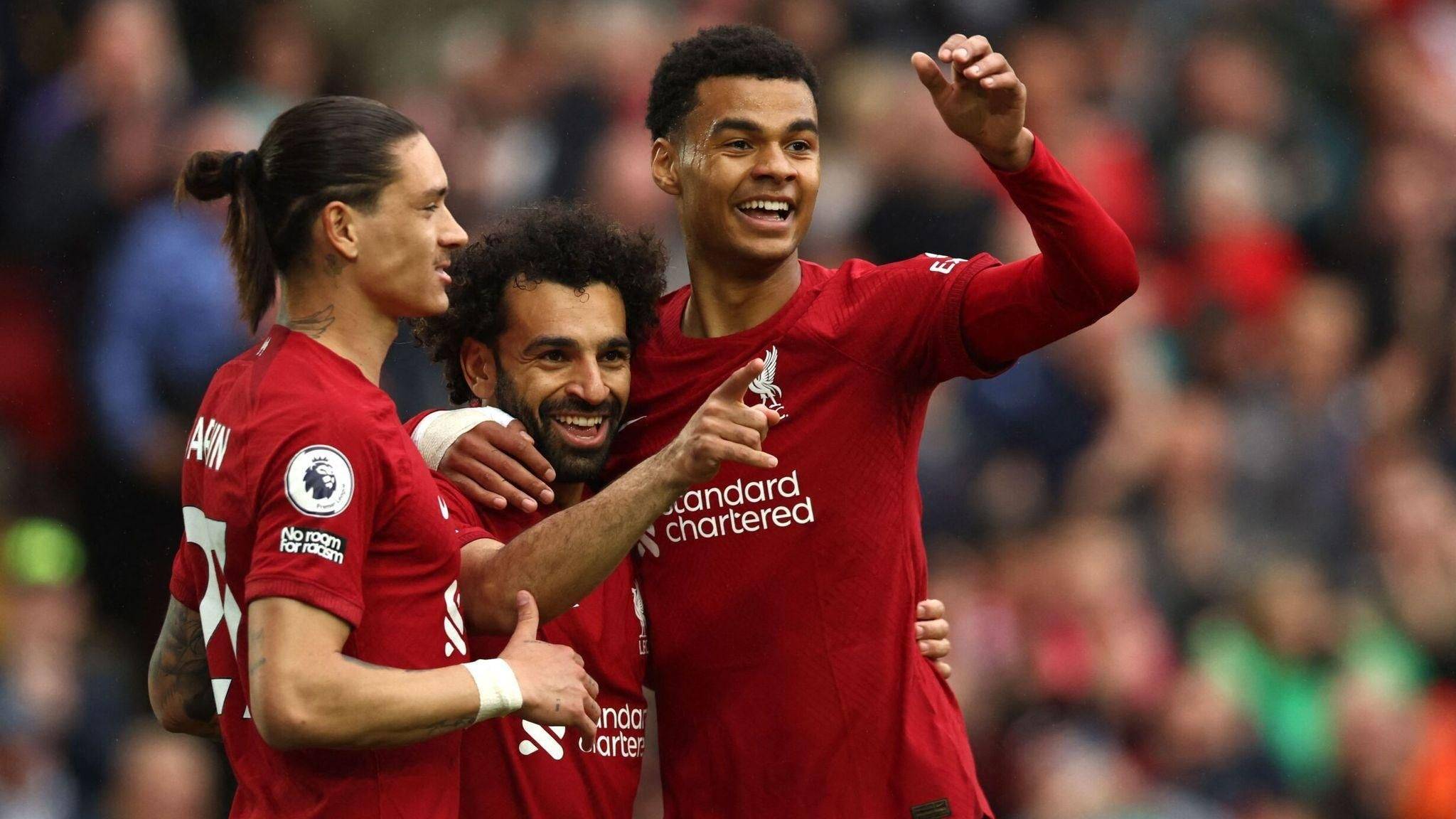 看懂 看懂
